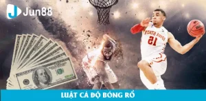 Giới Thiệu Về Cá Độ Bóng Đá