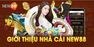 Khái quát sơ lược thông tin nhà cái NEW88